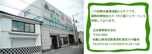 �a�̎R�L�c�×R�ʓX�܊T��