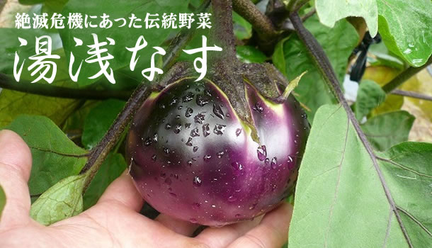 湯浅なす