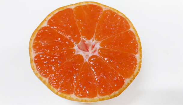 �O�؃t�@�[���̗L�c�݂���