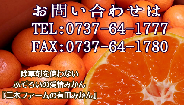 ����Ȃ����₢���킹