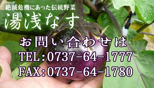 ����Ȃ����₢���킹